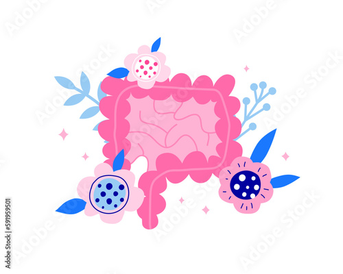 Digestive system.