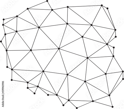 polygonal poland map.