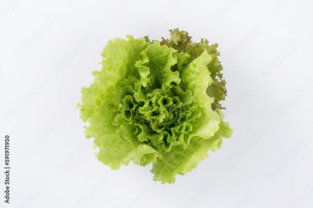 Lettuce, top-down view on a white background, generative ai, Fresh tasty vegetables, Fresh ingredients, cooking ingredients Lettuce, top-down view on a white background, generative ai, Fresh tasty vegetables, Fresh ingredients, cooking ingredients