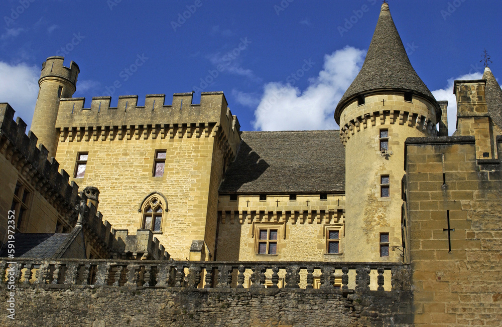dordogne, the middle age castle of Puymartin