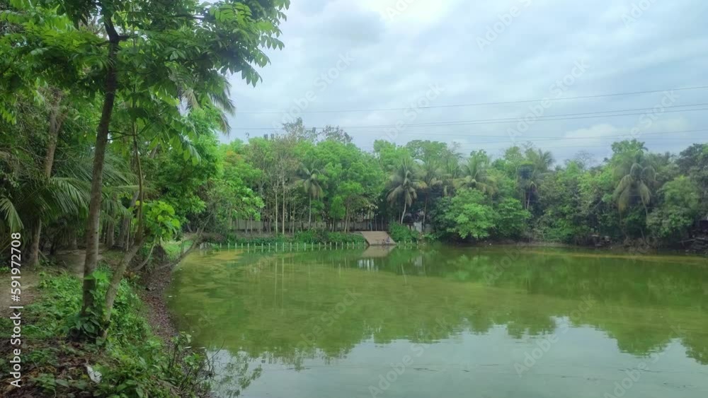 Peaceful view of a pond with reflection. Mind refreshing nature with the sky. Peaceful view of a pond with reflection. Mind refreshing nature with the sky.