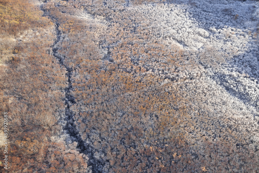 Aerial View Of Morning Frost On Willows; Alaska, United States Of America