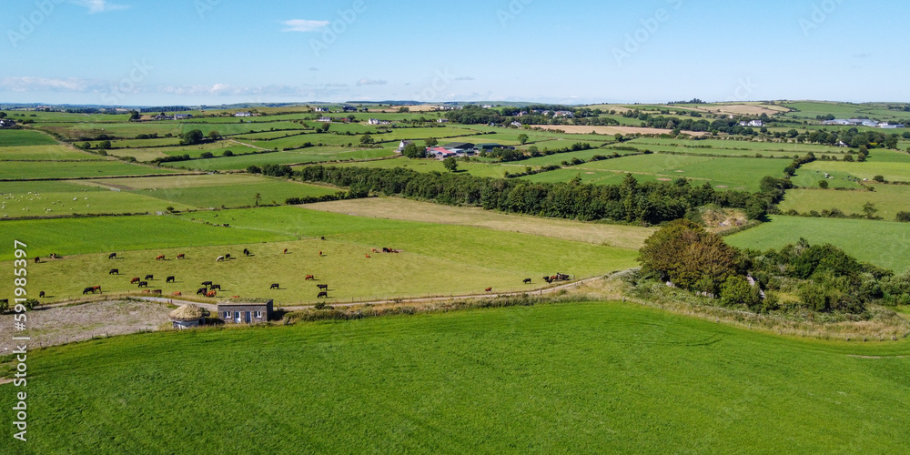 Vast pastures. Picturesque farmland, top view. Agricultural landscape on a sunny summer day. Nature. Green grass field under blue sky