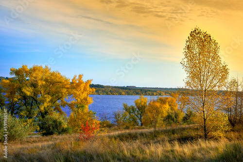 Autumn landscape, blue river and golden tree leaves.