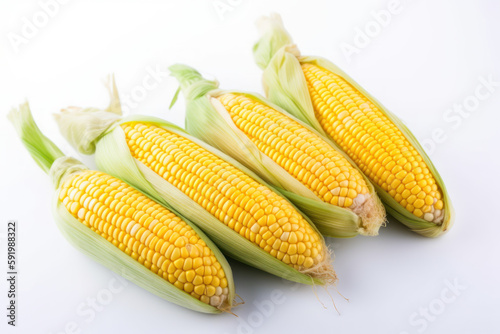 Sweetcorn, corn, multiple sweetcorns on the cob on a white background, generative ai, Fresh tasty vegetables, Fresh ingredients, cooking ingredients
