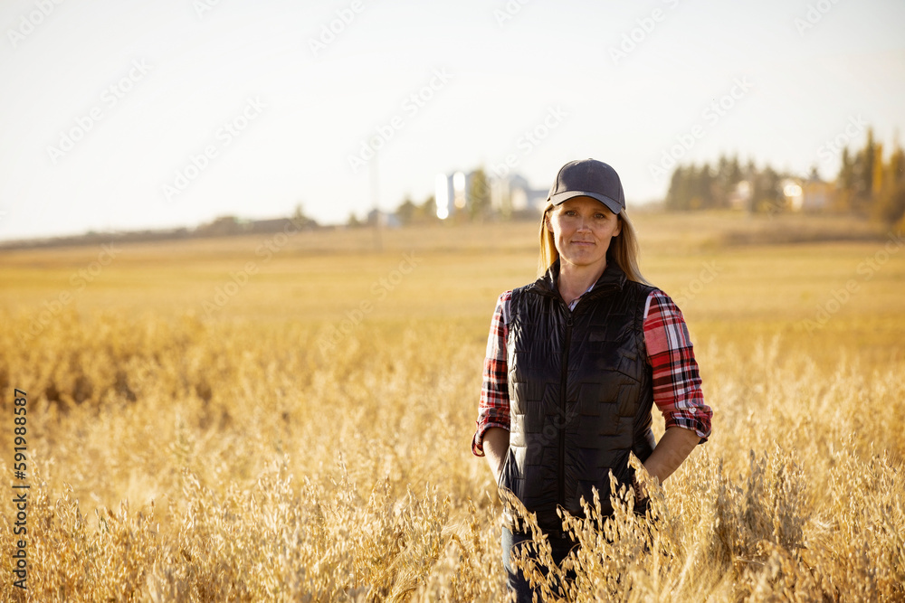 Portrait of a mature farm woman standing in a grain field, posing for the camera during harvest at sunset; Alcomdale, Alberta, Canada Portrait of a mature farm woman standing in a grain field, posing for the camera during harvest at sunset; Alcomdale, Alberta, Canada