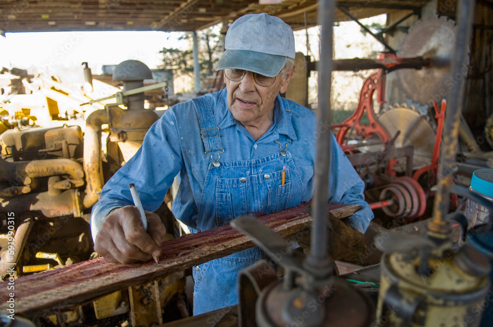 Man uses sawmill to cut up cedar trees; Cortland, Nebraska, United States of America Man uses sawmill to cut up cedar trees; Cortland, Nebraska, United States of America