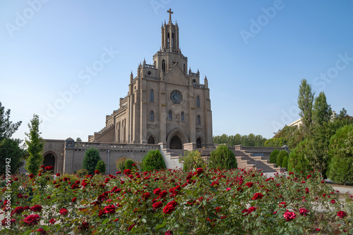 Red roses at the walls of the Roman Catholic Cathedral of the "Sacred Heart of Jesus". Tashkent, Uzbekistan