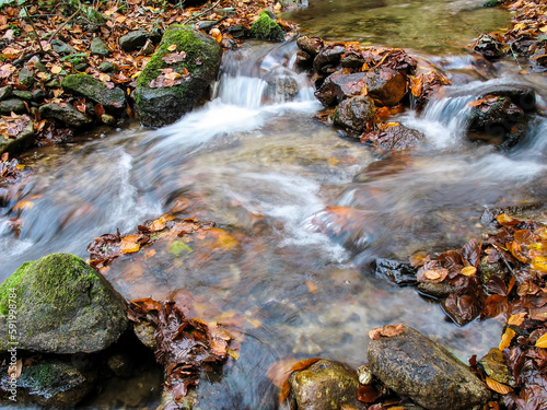 Beautiful creek in mountain forest. Forest creek in autumn.