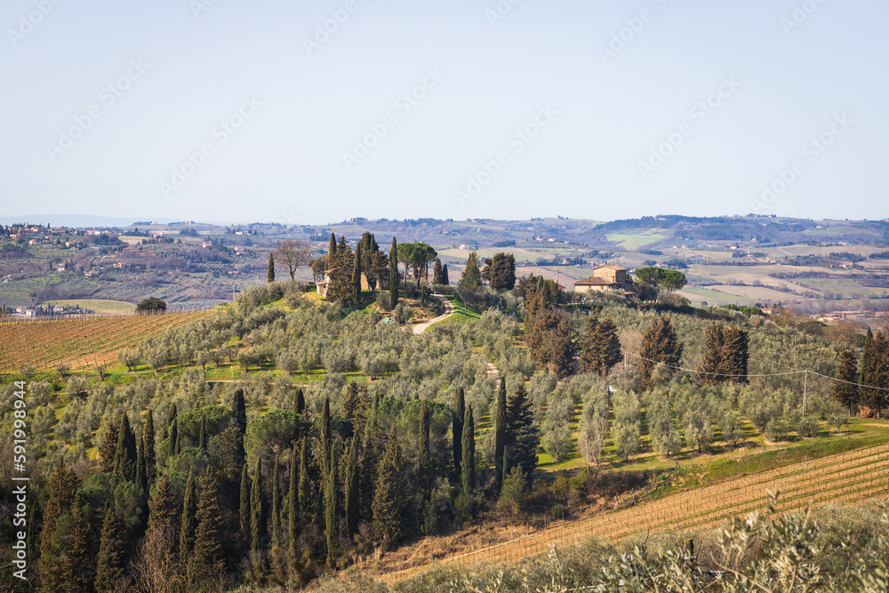 Naklejka premium Colline Toscane