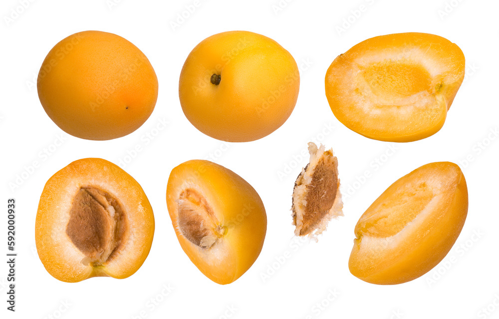 Set of fresh apricots isolated on transparent background Set of fresh apricots isolated on transparent background