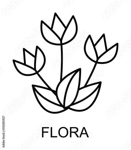 flora outline icon illustration on transparent background