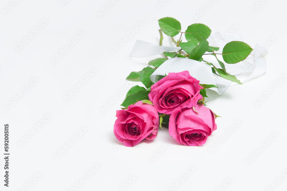 Fototapeta premium Abstract background with pink flowers roses on a white background