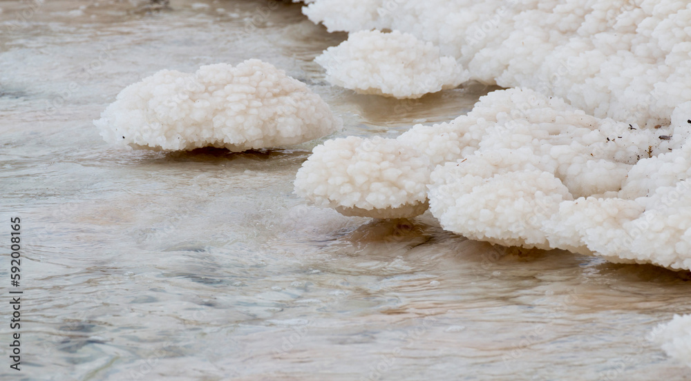 closeup of salt rock formation, Dead Sea, Jordan closeup of salt rock formation, Dead Sea, Jordan