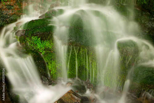 Close-up detail of motion blur with water cascading over a moss-covered boulder off Newfound Gap road in Great Smoky Mountains National Park, Tennessee, USA; Tennessee, United States of America photo