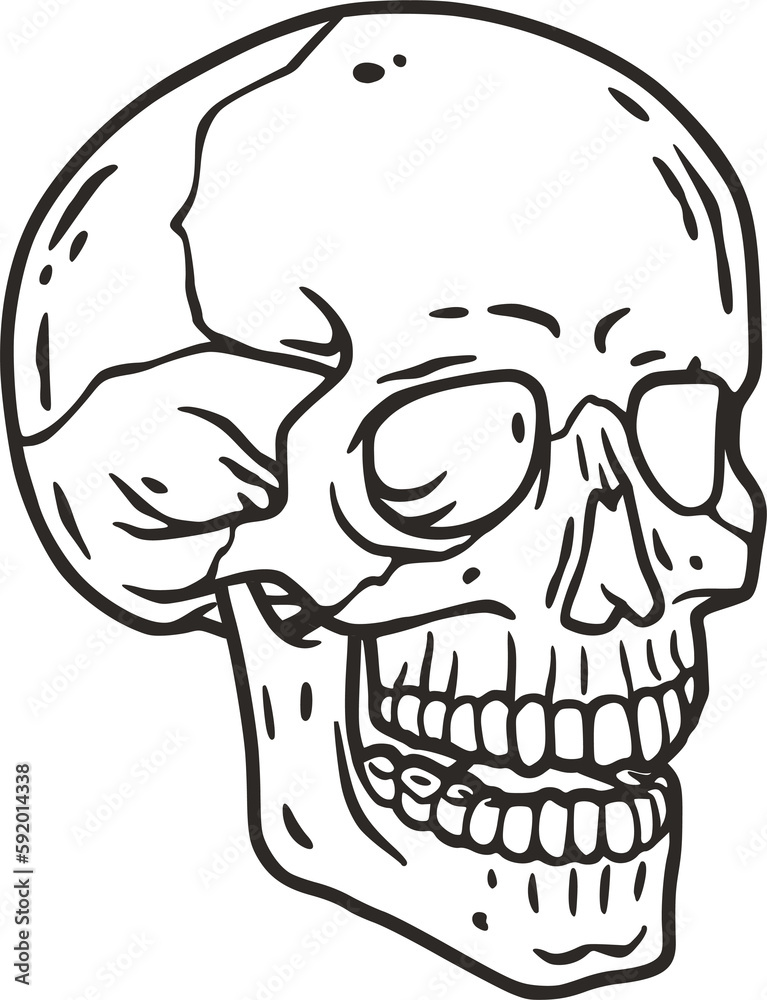 Skull vector for halloween design. Skeleton head or bone brutal skull. Skull vector for halloween design. Skeleton head or bone brutal skull.