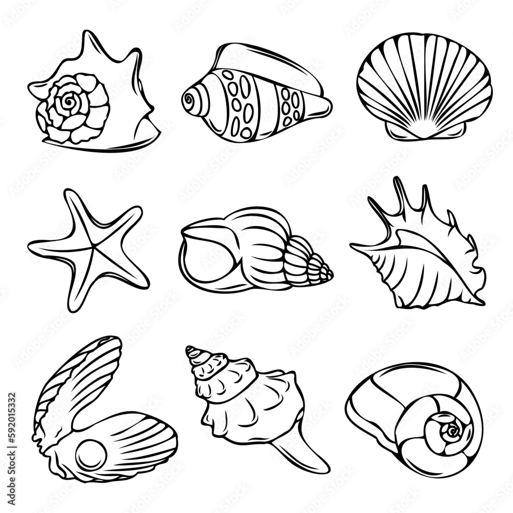 Collection of vector seashells and stars. Collection of vector seashells and stars.