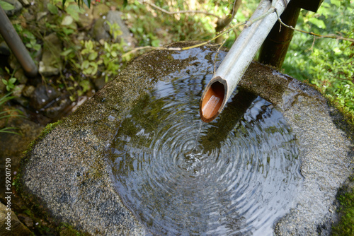 春の三千院　庭園の手水鉢　京都市左京区大原 photo