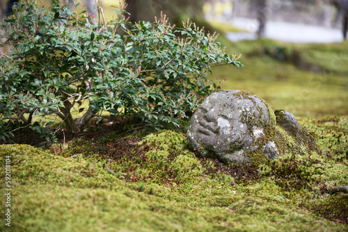 春の三千院　庭園のわらべ地蔵　京都市左京区大原 photo