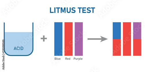 Acids cause blue litmus paper to turn red. Scientific vector illustration isolated on white background.
