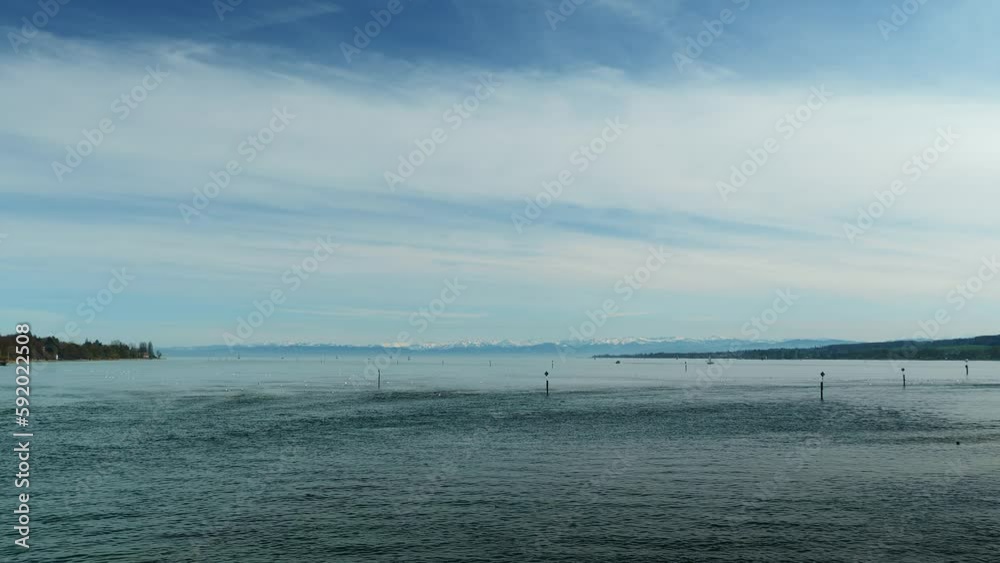 Lake in Konstanz city, Germany with white swans floating on water surface Lake in Konstanz city, Germany with white swans floating on water surface