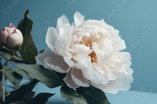  a large white flower with green leaves on a blue background with a light blue back ground and a light blue background with a light blue back ground. generative ai