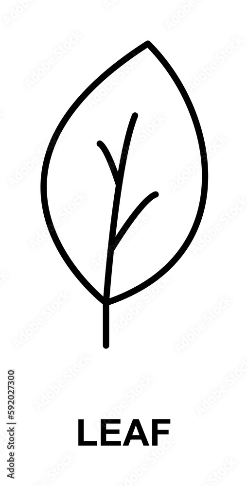 leaf icon illustration on transparent background leaf icon illustration on transparent background