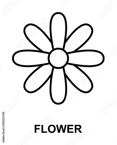 flower icon illustration on transparent background