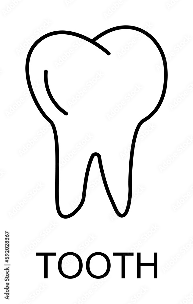 tooth line icon illustration on transparent background tooth line icon illustration on transparent background