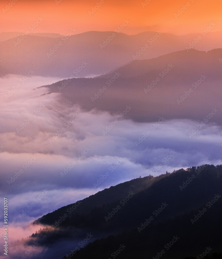 summer foggy scenery, scenic sunset view in the mountains