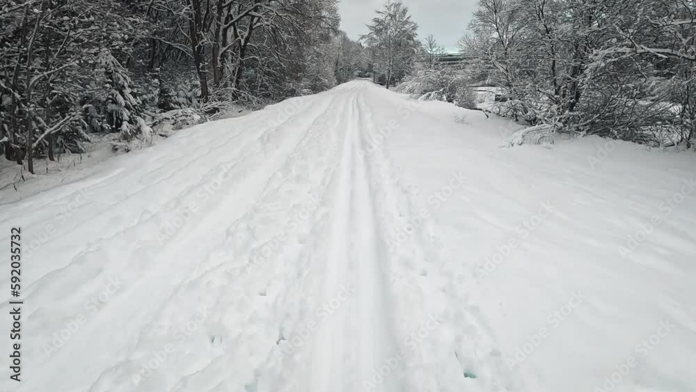Back cross country skiing, snow covered coniferous trees both sides, river near - action camera point of view Back cross country skiing, snow covered coniferous trees both sides, river near - action camera point of view