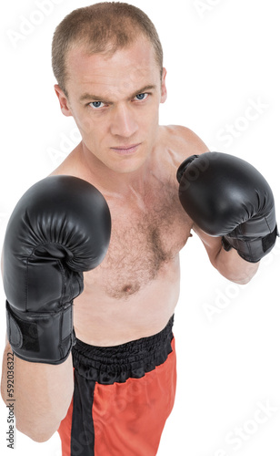 Portrait of boxer performing boxing stance