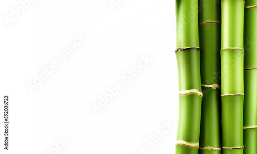 Fresh bamboo isolated on white background. Green bamboo sticks decoration. Asian plant generated ai