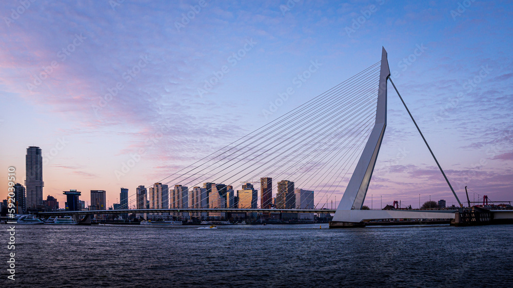 Erasmusbrug Rotterdam Erasmusbrug Rotterdam