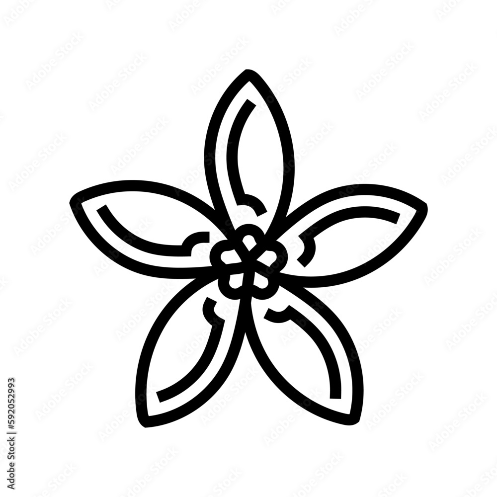 jasmine flower spring line icon vector illustration jasmine flower spring line icon vector illustration