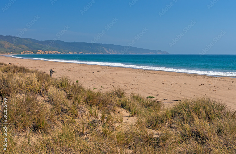 Remote Beach on the California Coast