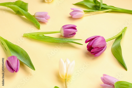 Fototapeta Naklejka Na Ścianę i Meble -  Beautiful tulips on yellow background