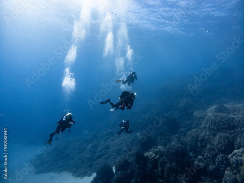Group of divers are doing Scuba Diving on a Coral Reef 