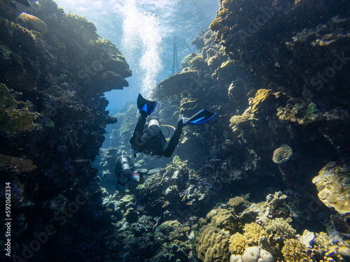 Divers are diving in a coral canyon or cave in the red sea in egypt 