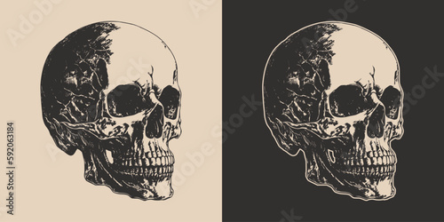 Set of vintage retro scary skull. Can be used like emblem, logo, badge, label. mark, poster or print. Monochrome Graphic Art. Vector. Hand drawn element in engraving