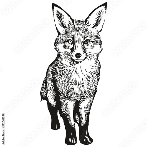 Cute kids hand drawn nursery poster with fox animal fox cub