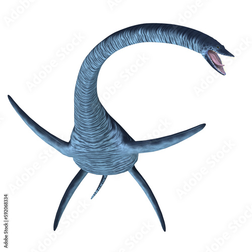 Elasmosaurus Plesiosaur - Elasmosaurus was a marine plesiosaur reptile that lived in North America seas in the Cretaceous Period. photo