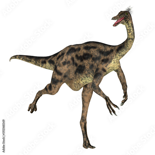 Gallimimus Dinosaur Running - Gallimimus was a omnivorous theropod dinosaur that lived in Mongolia during the Cretaceous Period.