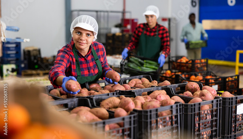 Positive woman in uniform checking quality and sorting potatoes while working in vegetable facility storehouse.