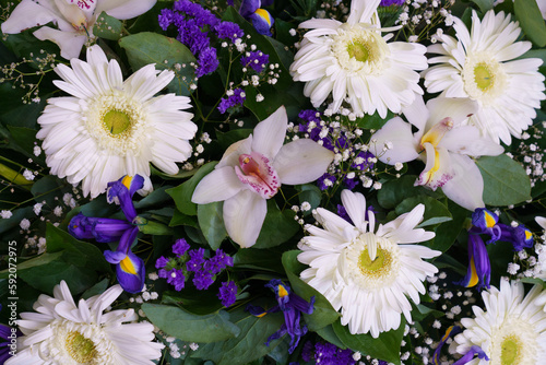 flowers smell in beautiful colors