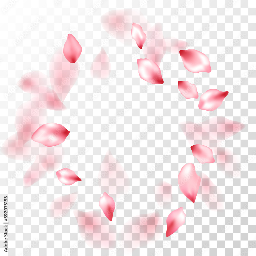 Japanese cherry petals on transparent background. Japanese cherry petals on transparent background.