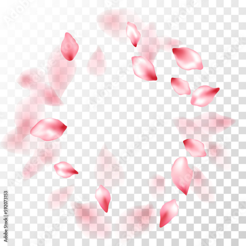 Japanese cherry petals on transparent background.