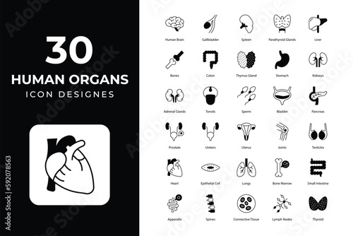 Human Organs icons Collection. medical icons,  	anatomy, artery, bladder, body, bones, brain, digestive, female, growing, hair, heart, human, internal, intestine, kidney, liver, lungs, male, organ, Ov