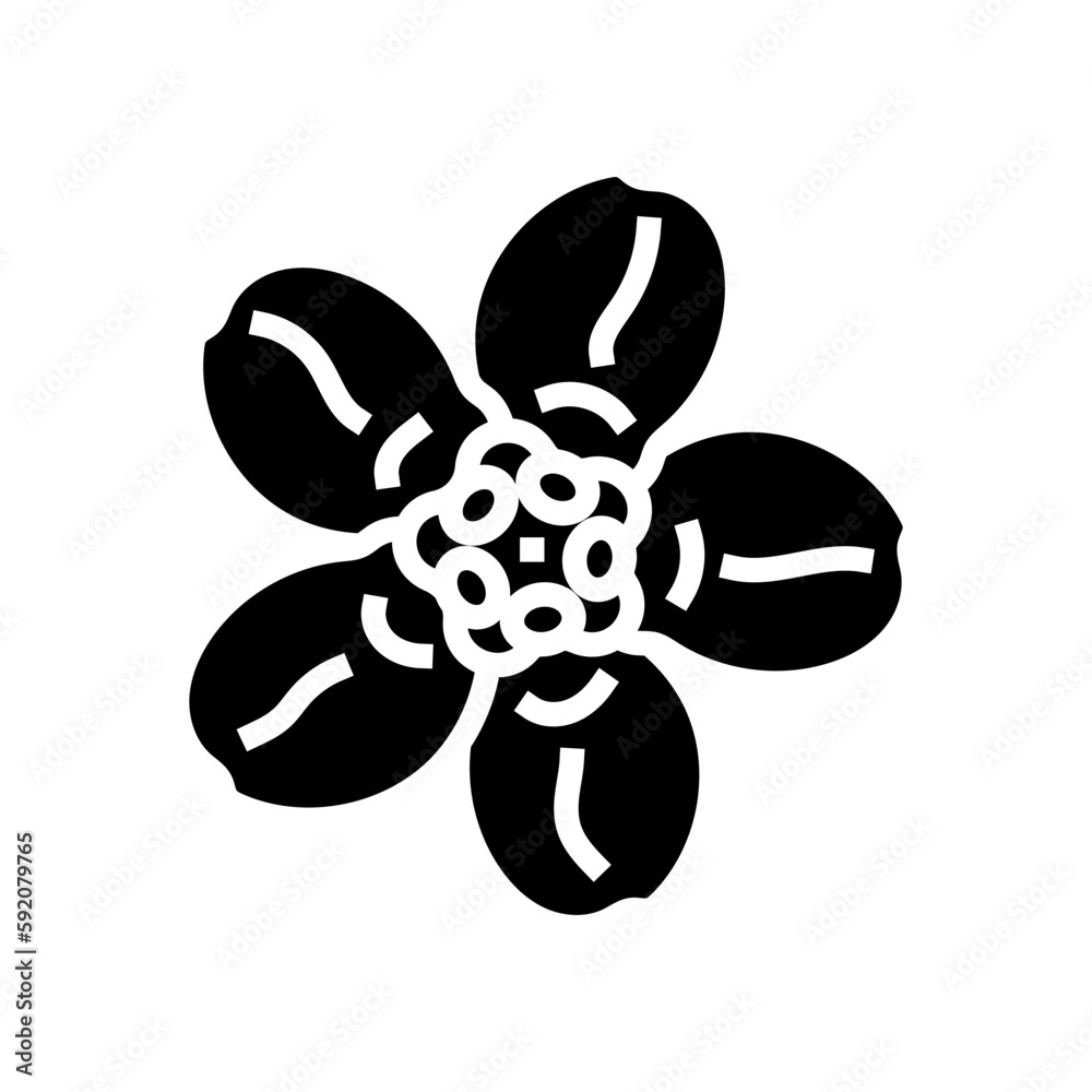 forget me not flower spring glyph icon vector illustration forget me not flower spring glyph icon vector illustration