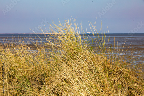 D  nenlandschaft an der Nordsee bei Ebbe